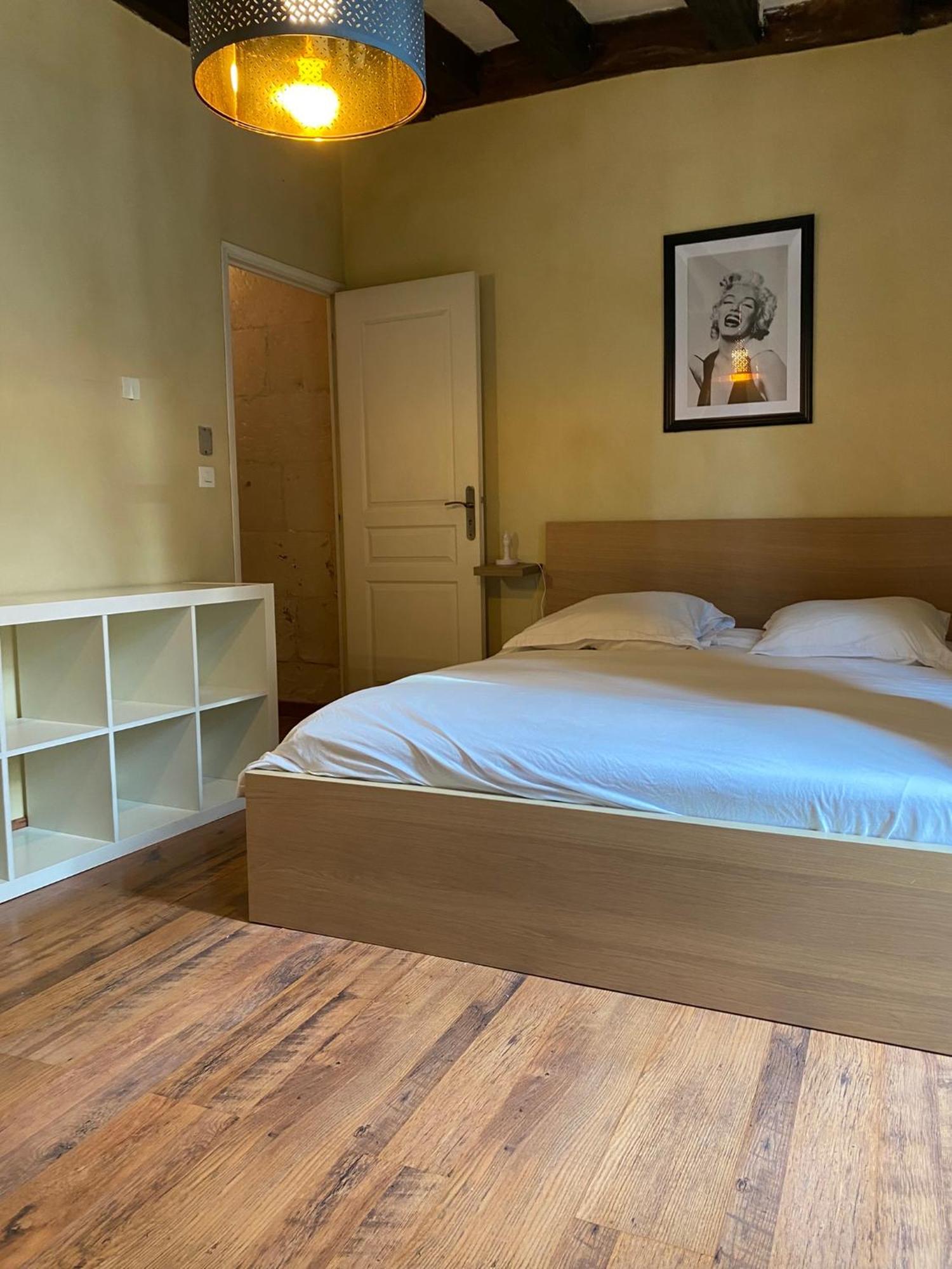 Apartamento Grand Historique Rue Colbert Tours